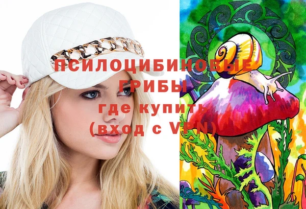 ПСИЛОЦИБИНОВЫЕ ГРИБЫ Аркадак