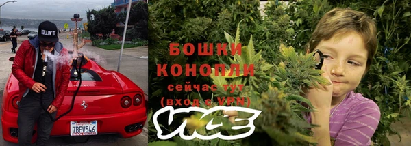 ПСИЛОЦИБИНОВЫЕ ГРИБЫ Аркадак