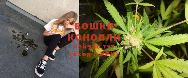 ГАЛЛЮЦИНОГЕННЫЕ ГРИБЫ Армянск