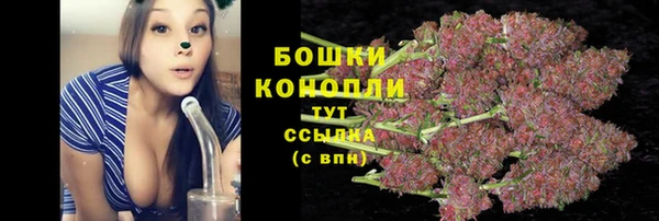 молекула духа Баксан