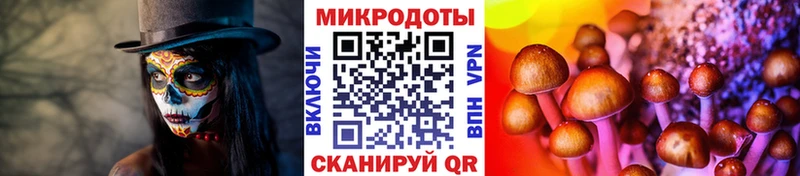 магазин продажи   Валдай  Галлюциногенные грибы MAGIC MUSHROOMS 